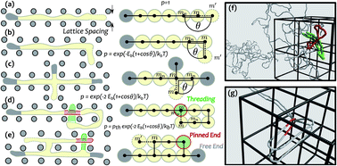 Graphical abstract: Dynamics of self-threading ring polymers in a gel