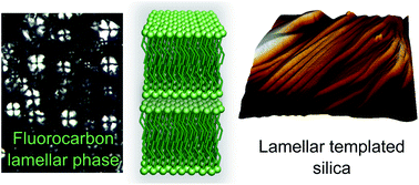 Graphical abstract: Fluorinated lamellar phases: structural characterisation and use as templates for highly ordered silica materials