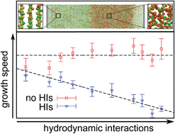 Graphical abstract: Hydrodynamic interactions slow down crystallization of soft colloids