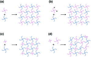 Graphical abstract: Experimental verification of fracture mechanism for polymer gels with controlled network structure