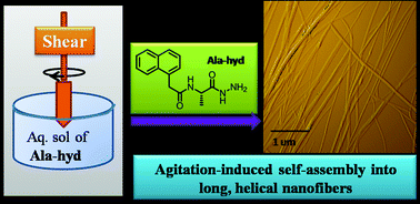 Graphical abstract: Mechano-responsive gelation of water by a short alanine-derivative
