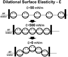 Graphical abstract: Dilational surface elasticity of spread monolayers of polystyrene microparticles