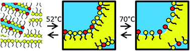 Graphical abstract: Quenched microemulsions: a new route to proton conductors