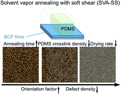 Graphical abstract: A generalized method for alignment of block copolymer films: solvent vapor annealing with soft shear