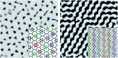 Graphical abstract: Orientational order of one-patch colloidal particles in two dimensions
