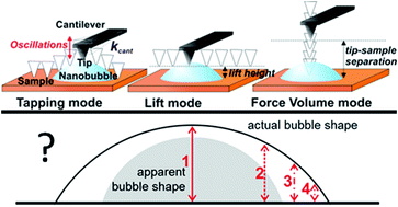 Graphical abstract: Hydrodynamic effects of the tip movement on surface nanobubbles: a combined tapping mode, lift mode and force volume mode AFM study