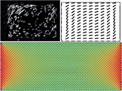 Graphical abstract: Colloidal liquid crystals in rectangular confinement: theory and experiment