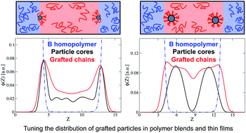 Graphical abstract: The distribution of homogeneously grafted nanoparticles in polymer thin films and blends