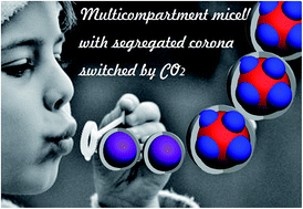 Graphical abstract: CO2-switchable multi-compartment micelles with segregated corona