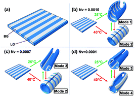 Graphical abstract: Hybrid hydrogel sheets that undergo pre-programmed shape transformations