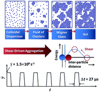 Graphical abstract: Snapshotted glass and gel transitions of stable colloidal dispersions after shear-driven aggregation in a microchannel