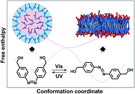 Graphical abstract: Unusual, photo-induced self-assembly of azobenzene-containing amphiphiles