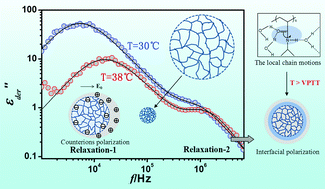 Graphical abstract: Dielectric relaxations of poly(N-isopropylacrylamide) microgels near the volume phase transition temperature: impact of cross-linking density distribution on the volume phase transition