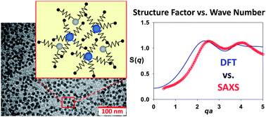 Graphical abstract: Structure factor of blends of solvent-free nanoparticle–organic hybrid materials: density-functional theory and small angle X-ray scattering