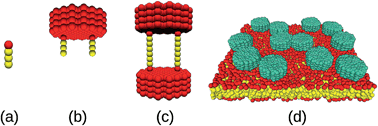 Graphical abstract: Membrane protein mobility depends on the length of extra-membrane domains and on the protein concentration