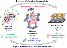 Graphical abstract: From monomers to self-assembled monolayers: the evolution of molecular mobility with structural confinements