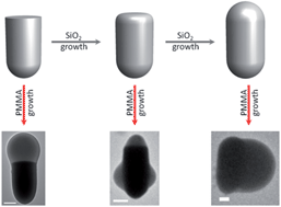 Graphical abstract: Site-specific growth of polymers on silica rods