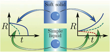 Graphical abstract: Gas bubble dynamics in soft materials