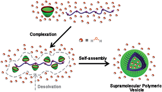 Graphical abstract: Supramolecular polymeric vesicles formed by p-sulfonatocalix[4]arene and chitosan with multistimuli responses