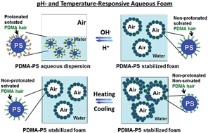 Graphical abstract: pH- and temperature-responsive aqueous foams stabilized by hairy latex particles