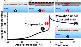 Graphical abstract: Humidity-dependent compression-induced glass transition of the air–water interfacial Langmuir films of poly(d,l-lactic acid-ran-glycolic acid) (PLGA)