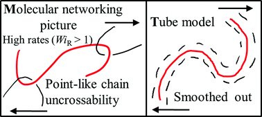 Graphical abstract: Nonlinear rheology of entangled polymers at turning point