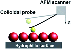 Graphical abstract: Colloid-probe AFM studies of the interaction forces of proteins adsorbed on colloidal crystals