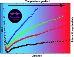 Graphical abstract: Direct measurement of thermophoretic forces