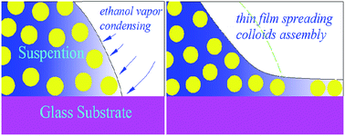 Graphical abstract: Ethanol vapor-induced fabrication of colloidal crystals with controllable layers and photonic properties