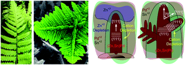 Graphical abstract: Growing metal trees on tubular semiconductor land: TiO2/(Zn,Sn)Pd heterostructures with high SERS and photocatalytic activity