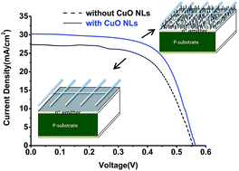 Graphical abstract: CuO nanoleaves enhance the c-Si solar cell efficiency