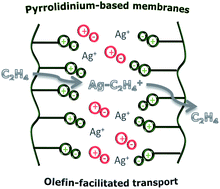 Graphical abstract: Polymeric ionic liquid membranes containing IL–Ag+ for ethylene/ethane separation via olefin-facilitated transport