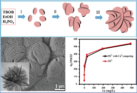 Graphical abstract: Novel flower-like titanium phosphate microstructures and their application in lead ion removal from drinking water