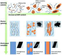 Graphical abstract: Phase separation in electrospun nanofibers controlled by crystallization induced self-assembly