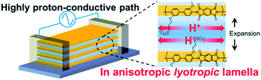 Graphical abstract: Proton conductivity enhancement in oriented, sulfonated polyimide thin films