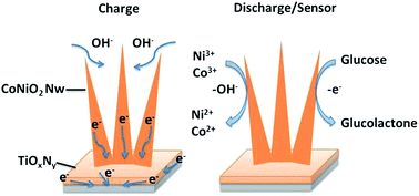 Graphical abstract: CoNiO2/TiN–TiOxNy composites for ultrahigh electrochemical energy storage and simultaneous glucose sensing