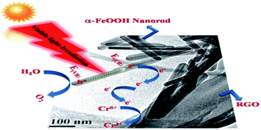 Graphical abstract: Facile fabrication of α-FeOOH nanorod/RGO composite: a robust photocatalyst for reduction of Cr(vi) under visible light irradiation