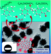 Graphical abstract: Superhydrophobic SiO2-based nanocomposite modified with organic groups as catalyst for selective oxidation of ethylbenzene