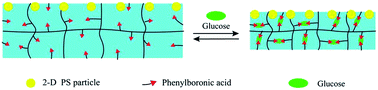 Graphical abstract: A 2-D photonic crystal hydrogel for selective sensing of glucose