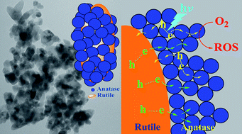 Graphical abstract: Synthesis of TiO2 with controllable ratio of anatase to rutile