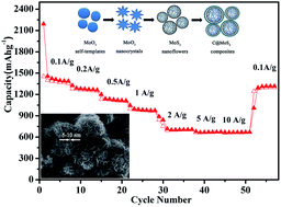 Graphical abstract: Preparation of carbon coated MoS2 flower-like nanostructure with self-assembled nanosheets as high-performance lithium-ion battery anodes