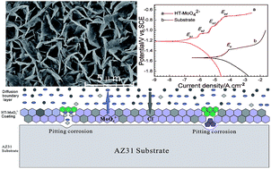 Graphical abstract: Corrosion of molybdate intercalated hydrotalcite coating on AZ31 Mg alloy