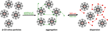 Graphical abstract: Light-responsive aggregation of β-cyclodextrin covered silica nanoparticles