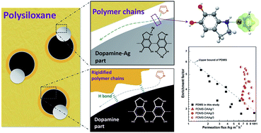 Graphical abstract: Enhanced desulfurization performance of PDMS membranes by incorporating silver decorated dopamine nanoparticles