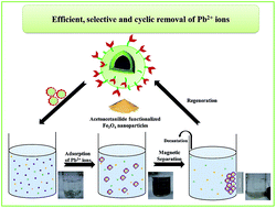 Graphical abstract: Acetoacetanilide-functionalized Fe3O4 nanoparticles for selective and cyclic removal of Pb2+ ions from different charged wastewaters