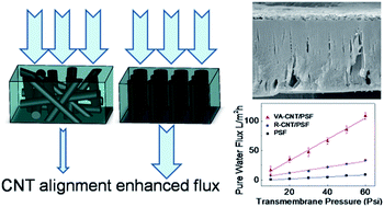 Graphical abstract: Enhanced water flux in vertically aligned carbon nanotube arrays and polyethersulfone composite membranes