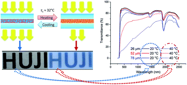 Graphical abstract: Temperature-responsive hydrogel with ultra-large solar modulation and high luminous transmission for “smart window” applications
