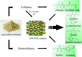Graphical abstract: FeNi nanoparticles with carbon armor as sustainable hydrogenation catalysts: towards biorefineries
