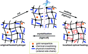 Graphical abstract: Light-healable hard hydrogels through photothermally induced melting–crystallization phase transition