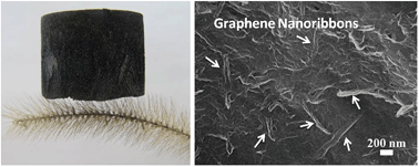 Graphical abstract: Multifunctional graphene sheet–nanoribbon hybrid aerogels